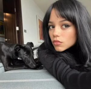 Jenna Ortega et son chien Twigs